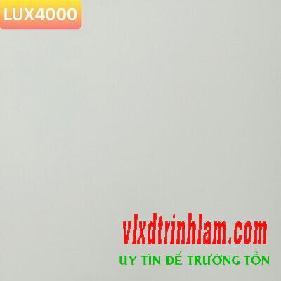 Gạch lát sân đá Granite Thanh Thanh  40x40 LUX4000