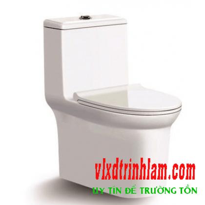 Bàn cầu Việt Mỹ 5202