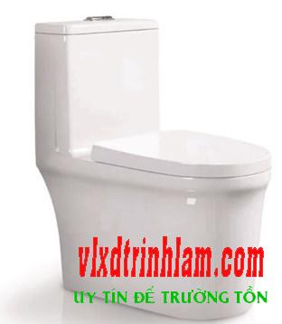 Bàn cầu Việt Mỹ 4302